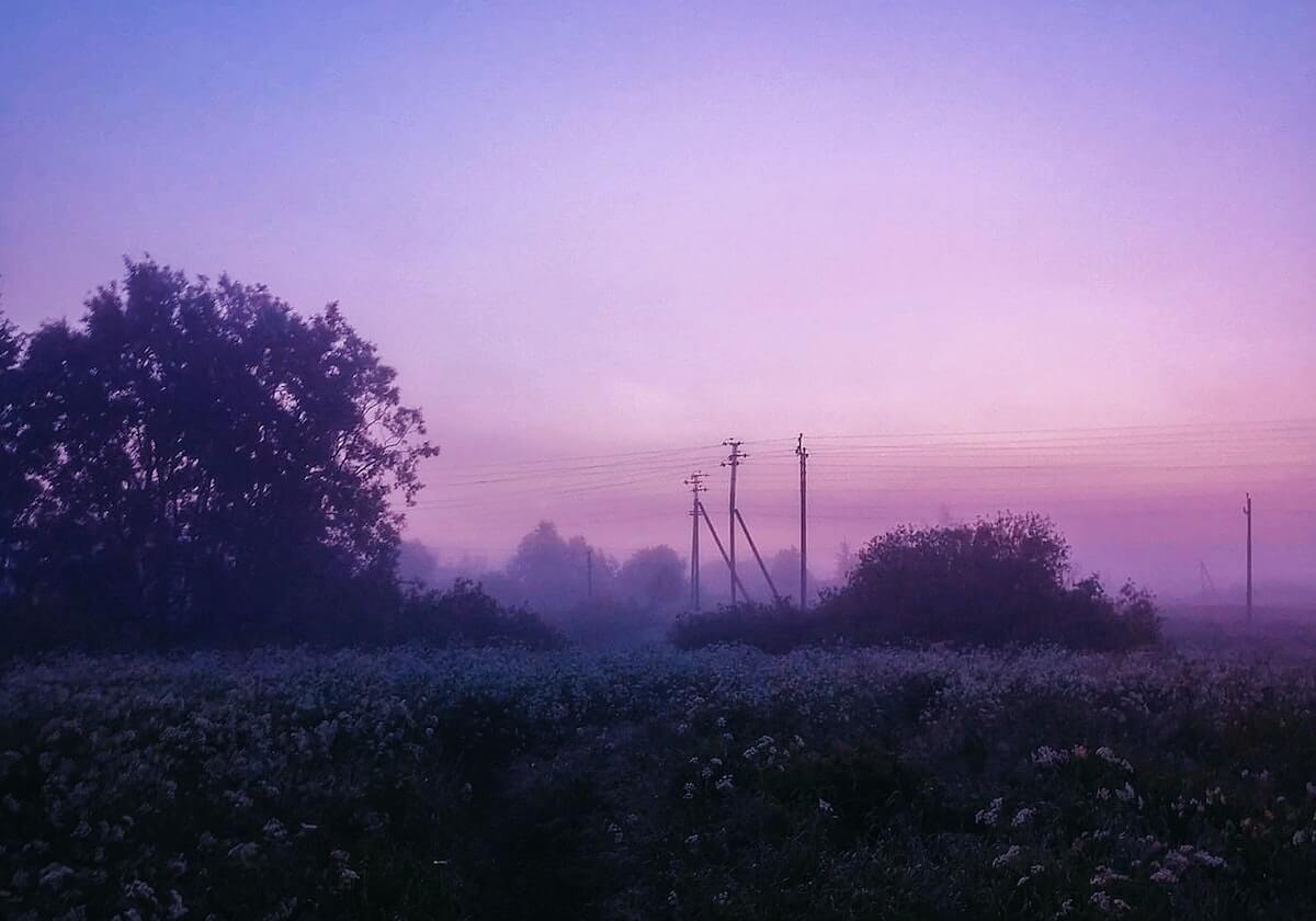 CBA：辽宁本钢不敌广州朗肽海本 遭遇两连败